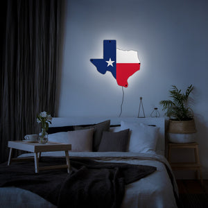 Texas LED Wall Art