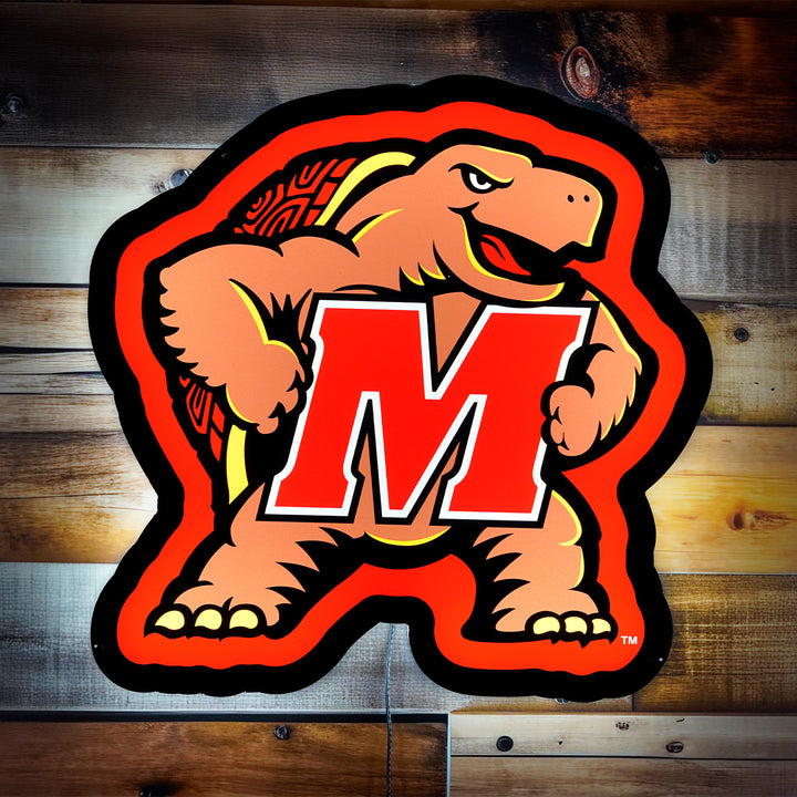 Collegiate Collection - Maryland Terrapins - Wall Played