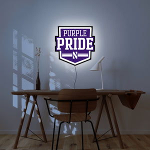 Collegiate Collection- Northwestern Purple Pride