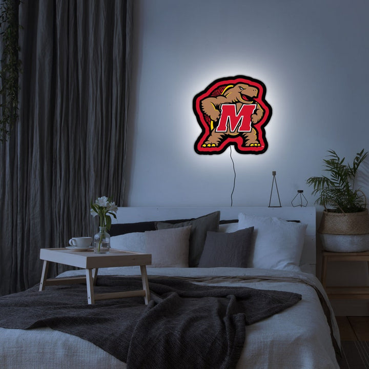 Collegiate Collection - Maryland Terrapins - Wall Played