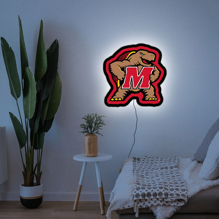 Collegiate Collection - Maryland Terrapins - Wall Played