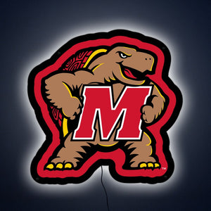 Collegiate Collection - Maryland Terrapins