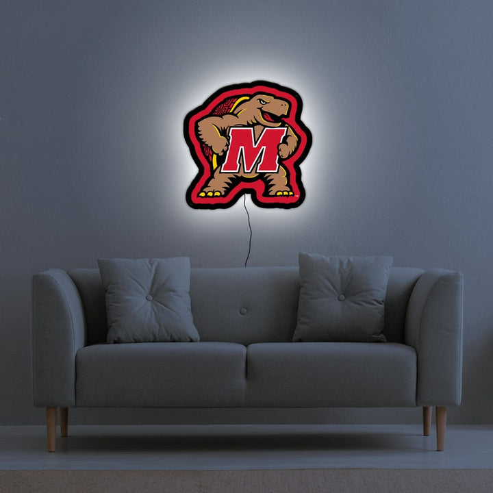 Collegiate Collection - Maryland Terrapins - Wall Played